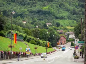 Salins-les-Bains - Strada fiancheggiata da lampioni, le case della città termale e gli alberi