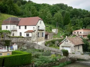 Salins-les-Bains - Häuser und Gemüsegarten am Ufer des Flusses, Bäume