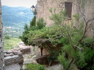 Sant'Antonino - Arbres, plantes et maison du village (en Balagne), colline en arrière-plan