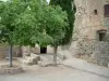 Sant'Antonino - Pequeña plaza con árboles y casa de piedra en el pueblo (en Balagne)