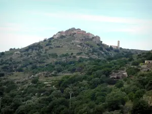 Sant'Antonino - Vue d'ensemble sur le village de Sant'Antonino perché sur une colline (en Balagne)