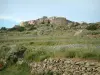 Sant'Antonino - Muro de piedra, prado de flores silvestres y Sant'Antonino pueblo (Cap Corse)