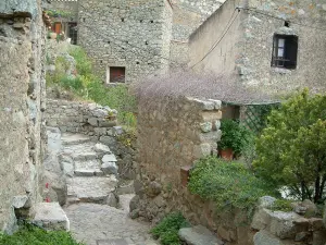 Sant'Antonino - Small stone stairway, plants, flowers and stone houses in the village (in the Balagne region)