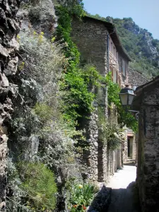 Saorge - Ruelle, la vegetación, las casas y la lámpara de la villa medieval