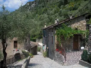 Saorge - Sloping alley lined with houses