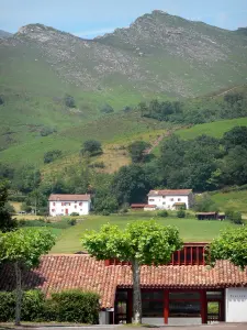 Sare - Entrée de la piscine de Sare, maisons entourées de verdure et massif de la Rhune dominant l'ensemble