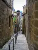 Sarlat-la-Canéda - Côte de Toulouse et ses maisons en pierre, en Périgord