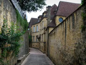 Sarlat-la-Canéda - Strada fiancheggiata da muri e case in pietra, in Périgord