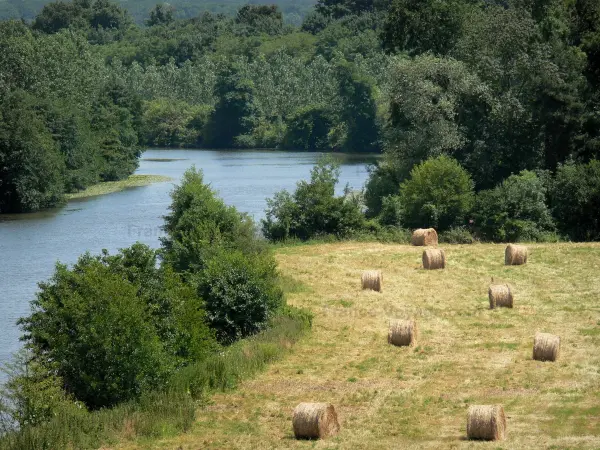 Sarthe valley - Meadow with haystacks and River Sarthe lined with trees