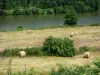 Sarthe valley - Hay bales in a meadow beside River Sarthe