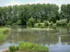 Sarthe valley - River Sarthe and bank planted with trees