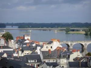 Saumur - Dächer der Stadthäuser, Fluss Loire, Brücken, Bäume am Wasserrand
(Loiretal)