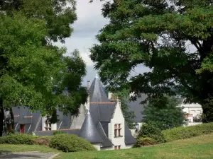 Saumur - Maison des Compagnons et arbres