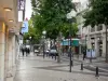 Saumur - Calle comercial con sus tiendas, las aceras, las farolas y los árboles de su