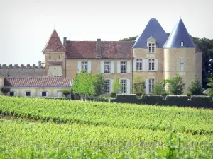 Sauternes - Château d'Yquem entouré de vignes ; dans le vignoble bordelais