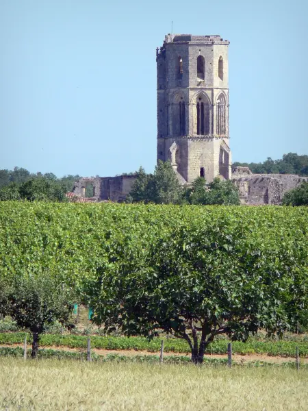 La Sauve-Majeure abbey - Gothic tower of the abbey overlooking a lush landscape 