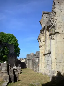 La Sauve-Majeure abbey - Remains of the abbey Church 