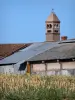 Savoyard Bresse - Bressan farmhouse with Saracen chimney and field; in Vescours 