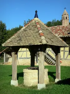 Savoyard Bresse - Well and Saracen chimney of Grange du Clou (Bressan farmhouse); in Saint-Cyr-sur-Menthon 