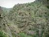 Scala di Santa Regina - Schluchten: felsige Granitansammlungen und Vegetation