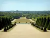 Sceaux departmental estate - Topiaries in the Parc de Sceaux