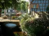 Scherwiller - Kleine Brücken geschmückt mit Blumen überspannen den Fluss (Aubach), Bäume und farbige Fachwerkhäuser
