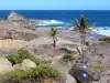 Schiereiland van La Caravelle - Nature Reserve Caravelle - Regionaal Park van Martinique: rotsachtige kust en de Atlantische Oceaan