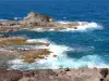 Schiereiland van La Caravelle - Nature Reserve Caravelle - Regionaal Park van Martinique: rotsachtige kust en de Atlantische Oceaan