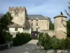 Schloß von Allemagne-en-Provence - Bergfried, Renaissancefassaden und runder Trum