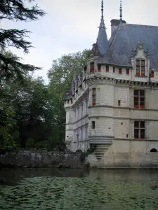 Schloß Azay-le-Rideau - Ecktürmchen des Renaissanceschlosses, Fluss (Indre) mit Seerosen und Bäumen