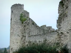 Schloss von Billy - Mittelalterliche Burg (Festung)