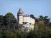 Schloss von Brassac - Blick auf die Festung umgeben von Grün