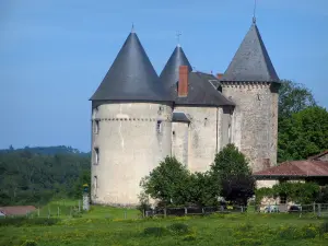 Schloß Brie - Haus, Wiese und Bäume, im Regionalen Naturpark Périgord-Limousin