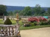 Schloss von Carrouges - Blühende Beete (blühende Rosensträucher, Rosen) des Gartens