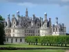 Schloß Chambord - Renaissanceschloss, gestutzte Bäume in einer Reihe und Rasen