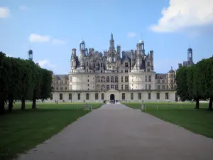 Schloß Chambord - Allee, gesäumt von Bäumen und Rasen, die zum Renaissanceschloss führt