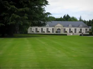 Schloß von Cheverny - Orangerie, Baum und Rasen des Parks