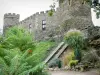 Schloss von Chouvigny - Mittelalterliche Burg und ihre Umgebung versehen mit Vegetation; im Tal der Sioule (Schluchten der Sioule)