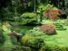 Schloss von Courances - Pflanzen des japanischen Gartens