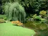 Schloss von Courances - Pflanzen und Bassin des japanischen Gartens