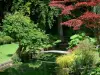 Schloss von Courances - Japanischer Garten und seine Pflanzen an der Wasserkante