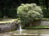 Schloss von Courances - Schlosspark: Wasserspeier und blühende Sträucher