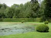 Schloss von Courances - Schlosspark: die Gerbe (Wasserbassin), Sträucher mit Formschnitt und Bäume