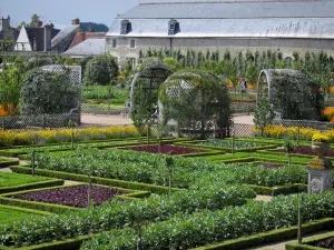 Schloß und Gärten von Villandry - Gemüsegarten (Gemüse und Blumen) mit seinen Lauben