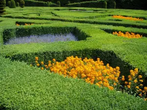 Schloß und Gärten von Villandry - Blumen des Ziergartens