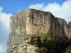 Schloss von Gavaudun - Befestigungsmauern der Festung