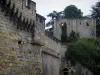 Schloß Langeais - Befestigungsanlage der Festung und Überreste (Ruinen) des Bergfriedes