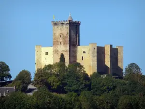 Schloß von Mauvezin - Mittelalterliche Festung bergend ein Museum, Bäume unterhalb; in den Baronnies