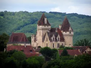 Schloß Milandes - Schloß, Kapelle, Dächer, Bäume und Wald im Hintergrund, im Tal der Dordogne, im Périgord