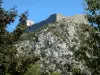 Schloß Montségur - Katharer Zitadelle (Überreste, Ruinen der Festung) und ihre felsige Bergspitze (pog); Bäume vorne im Bild